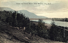 Scene on Fraser River, near Mission City, B.C.