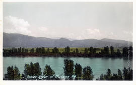 Fraser River at Mission, B.C.